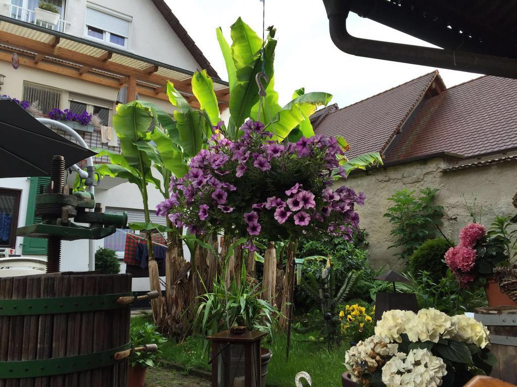 Haus Gisela Appartement Endingen am Kaiserstuhl Buitenkant foto
