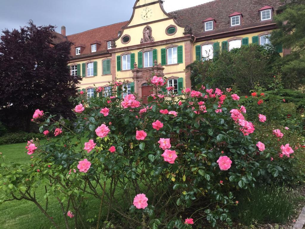 Haus Gisela Appartement Endingen am Kaiserstuhl Buitenkant foto